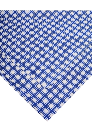 Baysem 200 x 200 cm. Sofra Bezi - Piknik Örtüsü